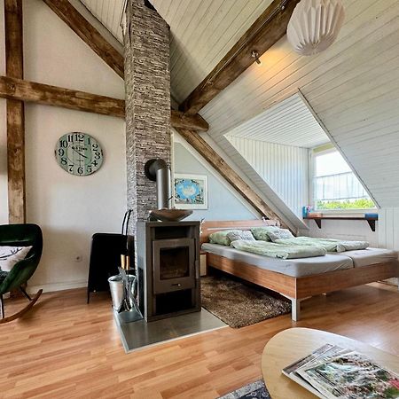 Hof Vierzehnender Im Hohen Venn - 70Qm Fachwerk-Studio - Grosses Wohn-Schlafzimmer Mit Dachterrasse Und Kaminofen - Separate Kueche - Perfekt Fuer Paare - Monschau - Eifel - Hunde Willkommen - Islandpferde Exterior foto