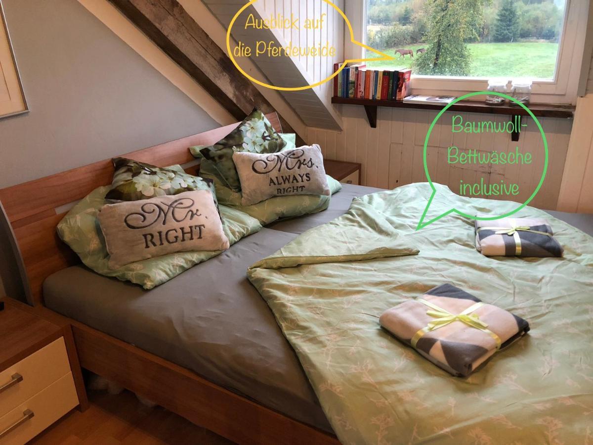 Hof Vierzehnender Im Hohen Venn - 70Qm Fachwerk-Studio - Grosses Wohn-Schlafzimmer Mit Dachterrasse Und Kaminofen - Separate Kueche - Perfekt Fuer Paare - Monschau - Eifel - Hunde Willkommen - Islandpferde Exterior foto