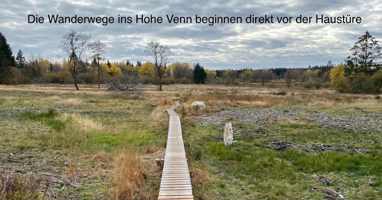 Hof Vierzehnender Im Hohen Venn - 70Qm Fachwerk-Studio - Grosses Wohn-Schlafzimmer Mit Dachterrasse Und Kaminofen - Separate Kueche - Perfekt Fuer Paare - Monschau - Eifel - Hunde Willkommen - Islandpferde Exterior foto