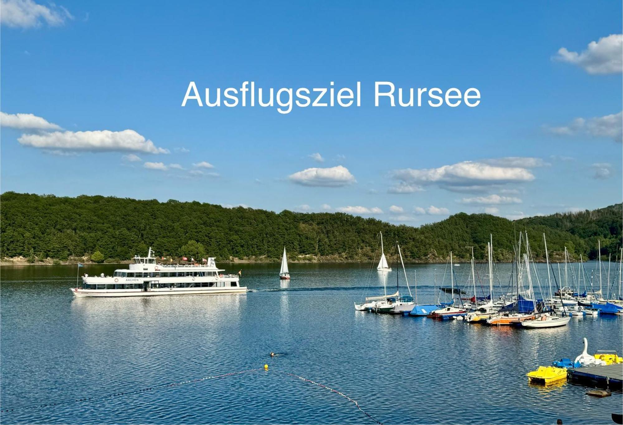 Hof Vierzehnender Im Hohen Venn - 70Qm Fachwerk-Studio - Grosses Wohn-Schlafzimmer Mit Dachterrasse Und Kaminofen - Separate Kueche - Perfekt Fuer Paare - Monschau - Eifel - Hunde Willkommen - Islandpferde Exterior foto