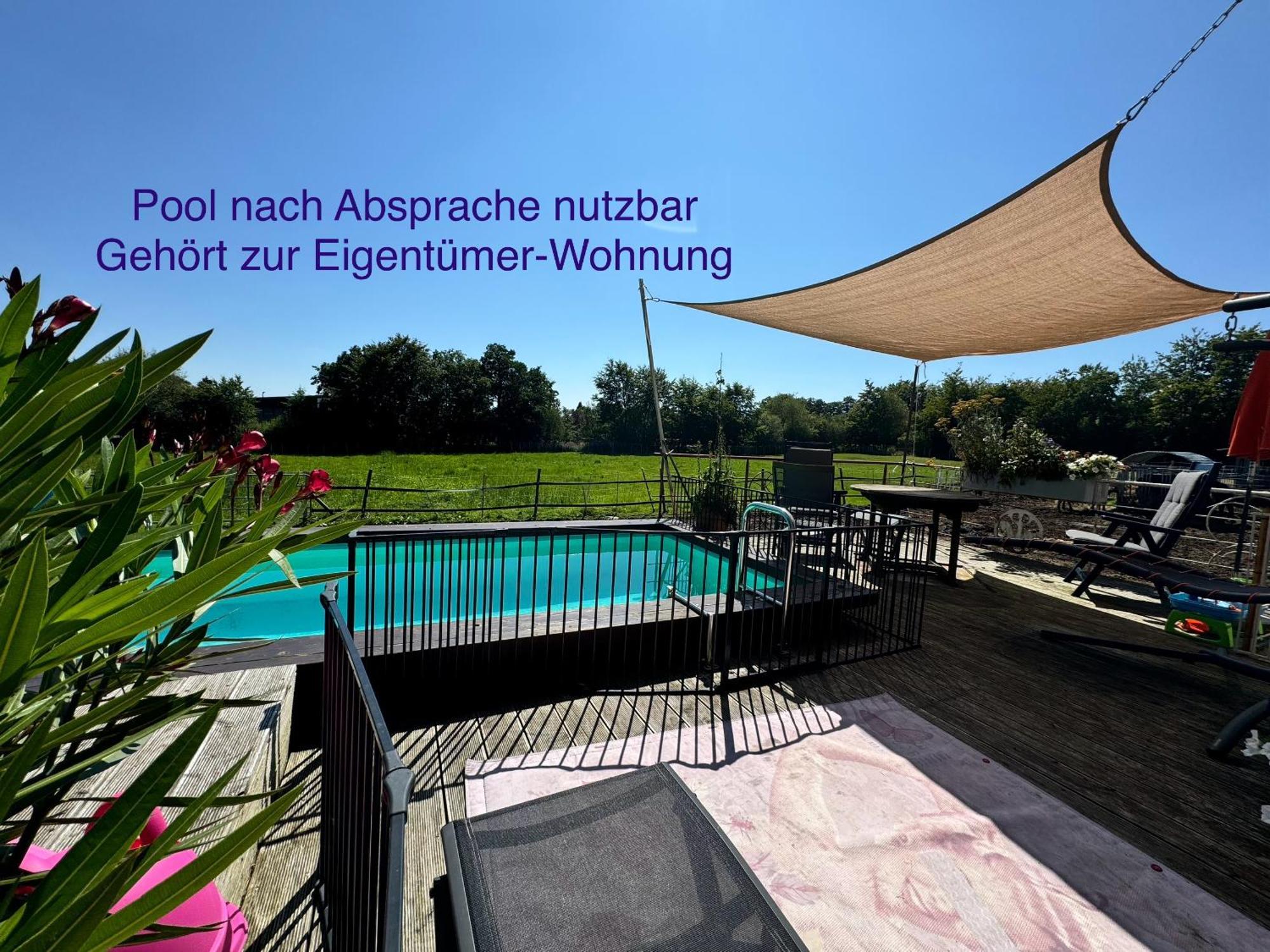 Hof Vierzehnender Im Hohen Venn - 70Qm Fachwerk-Studio - Grosses Wohn-Schlafzimmer Mit Dachterrasse Und Kaminofen - Separate Kueche - Perfekt Fuer Paare - Monschau - Eifel - Hunde Willkommen - Islandpferde Exterior foto