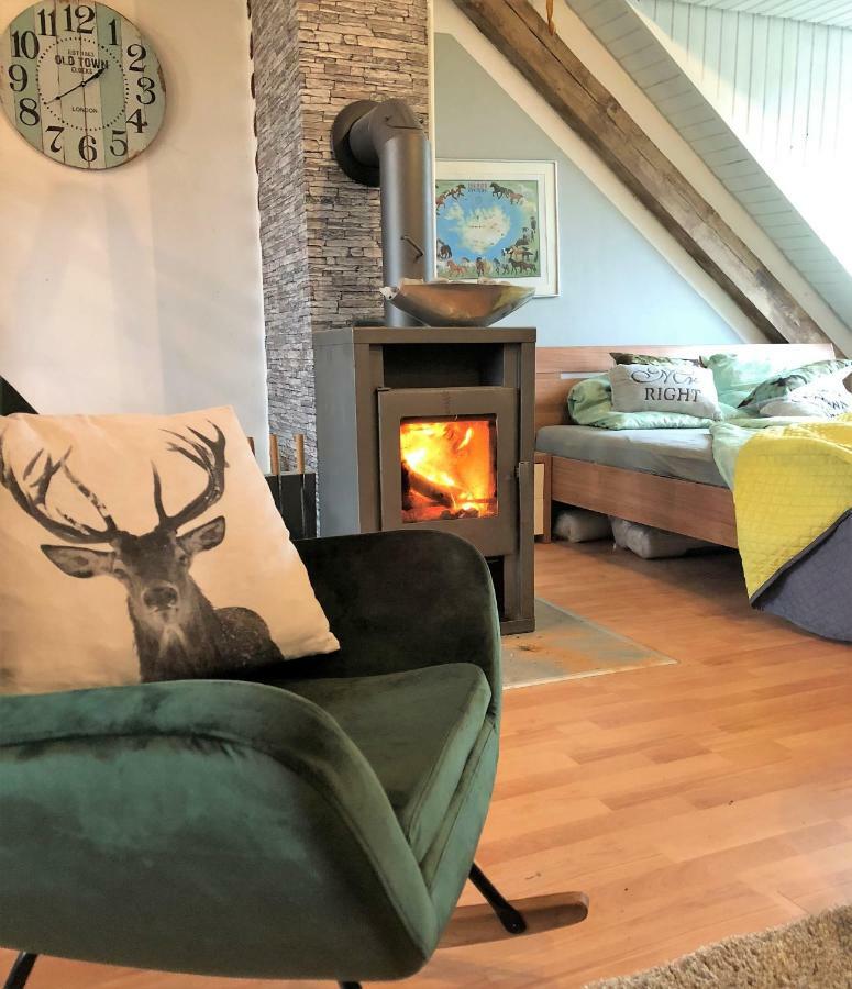 Hof Vierzehnender Im Hohen Venn - 70Qm Fachwerk-Studio - Grosses Wohn-Schlafzimmer Mit Dachterrasse Und Kaminofen - Separate Kueche - Perfekt Fuer Paare - Monschau - Eifel - Hunde Willkommen - Islandpferde Exterior foto