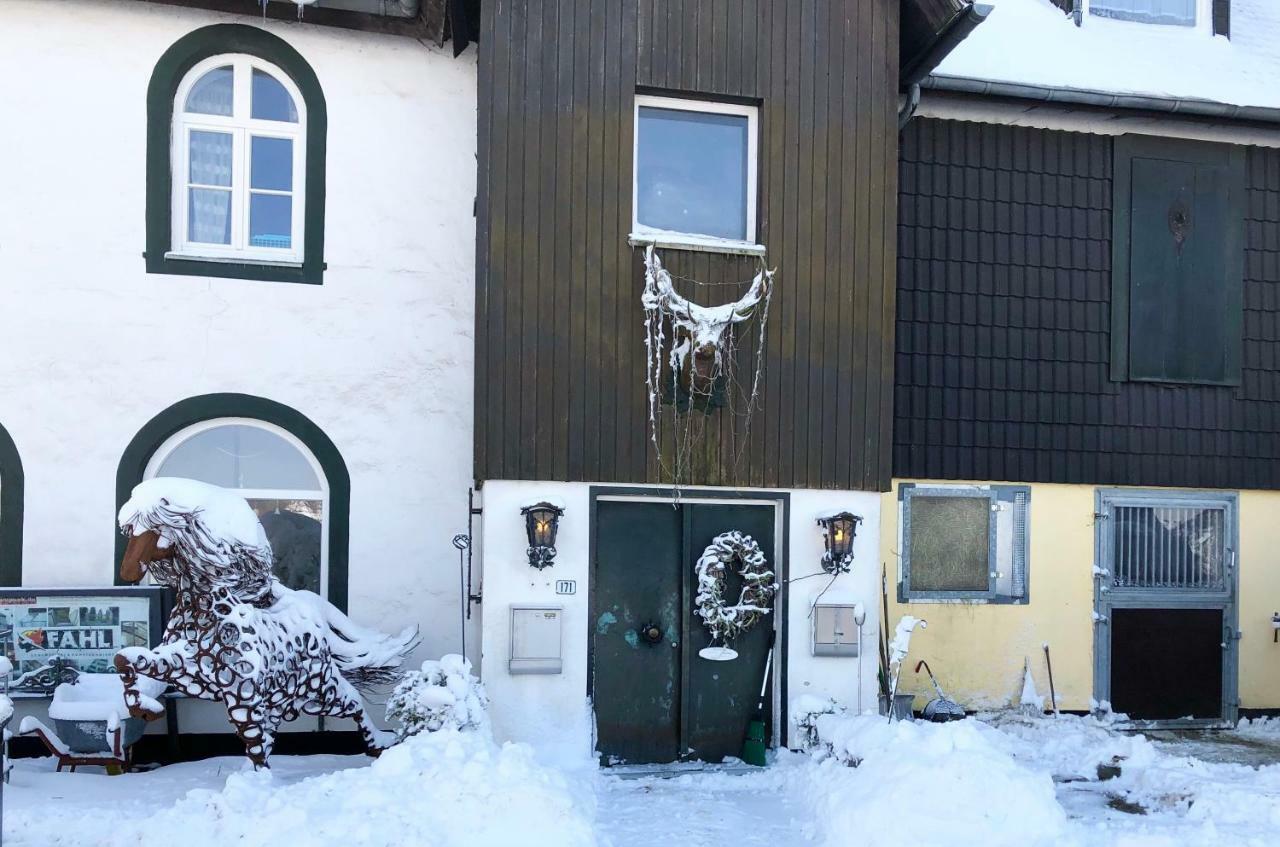 Hof Vierzehnender Im Hohen Venn - 70Qm Fachwerk-Studio - Grosses Wohn-Schlafzimmer Mit Dachterrasse Und Kaminofen - Separate Kueche - Perfekt Fuer Paare - Monschau - Eifel - Hunde Willkommen - Islandpferde Exterior foto