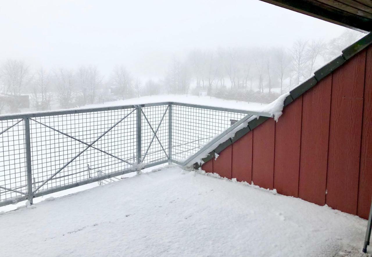 Hof Vierzehnender Im Hohen Venn - 70Qm Fachwerk-Studio - Grosses Wohn-Schlafzimmer Mit Dachterrasse Und Kaminofen - Separate Kueche - Perfekt Fuer Paare - Monschau - Eifel - Hunde Willkommen - Islandpferde Exterior foto